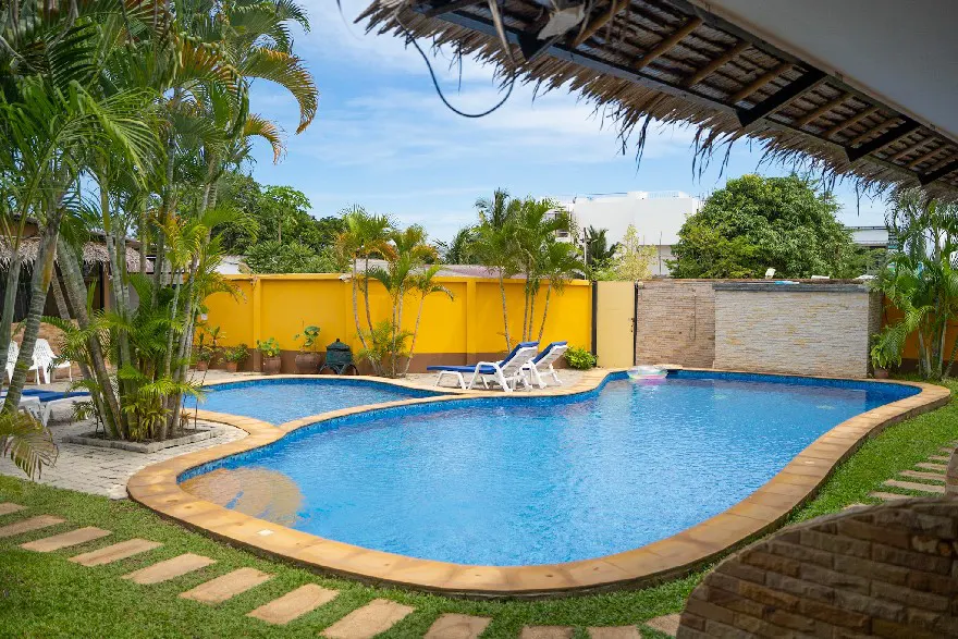 A sunny tropical backyard featuring a kidney-shaped swimming pool surrounded by lush palm trees and vibrant yellow walls, with comfortable sun loungers ready for relaxation.