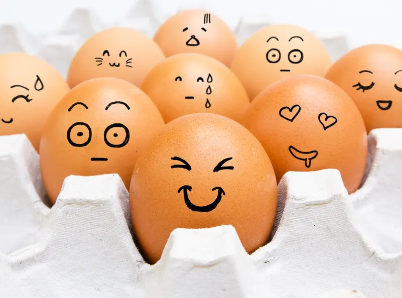 Are eggs our ally or not?