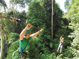 Flight of the Gibbon (Zipline)